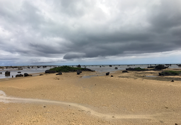 ＊佐和田の浜 / 佐和田之滨